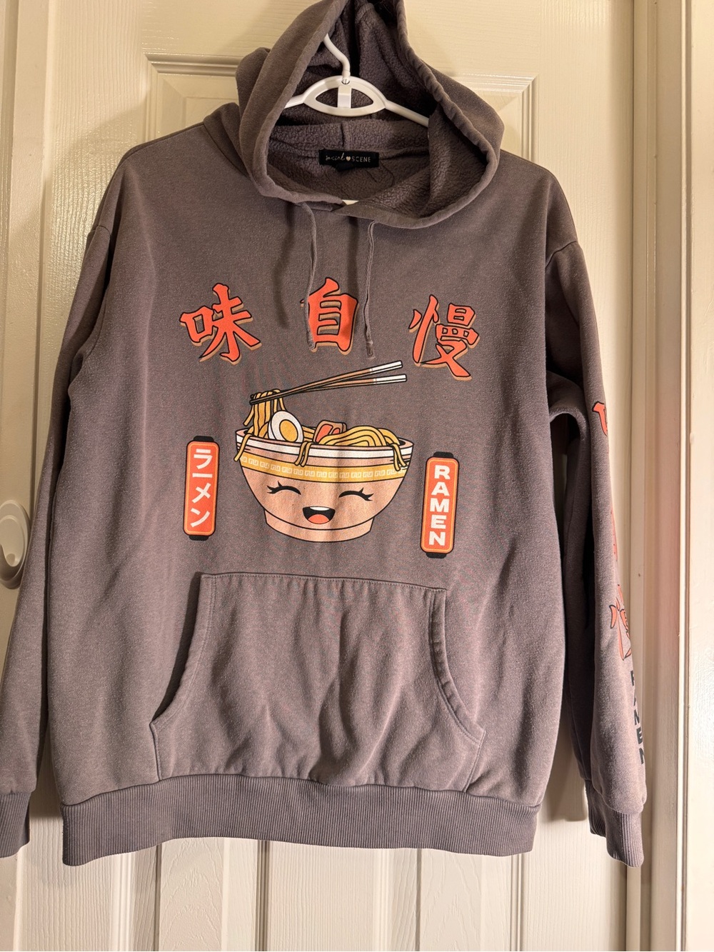 Ramen Themed Hoodie Sweater - Gray “Powered by Ramen” Warm, Fall Weather